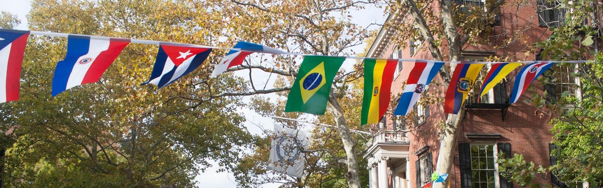 global flags