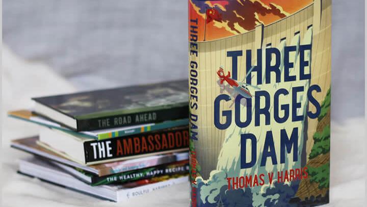 examples of book baby publishing projects