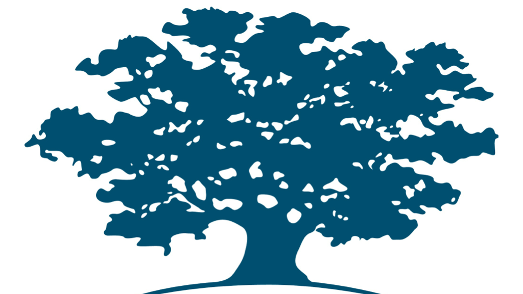 ashoka logo