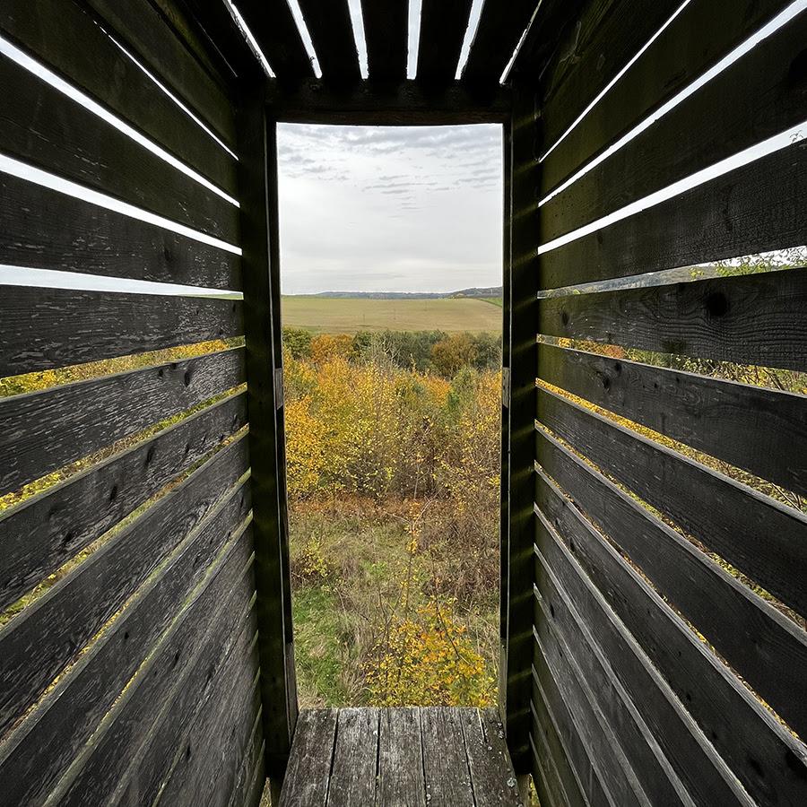 view of a field from inside a wooden structure